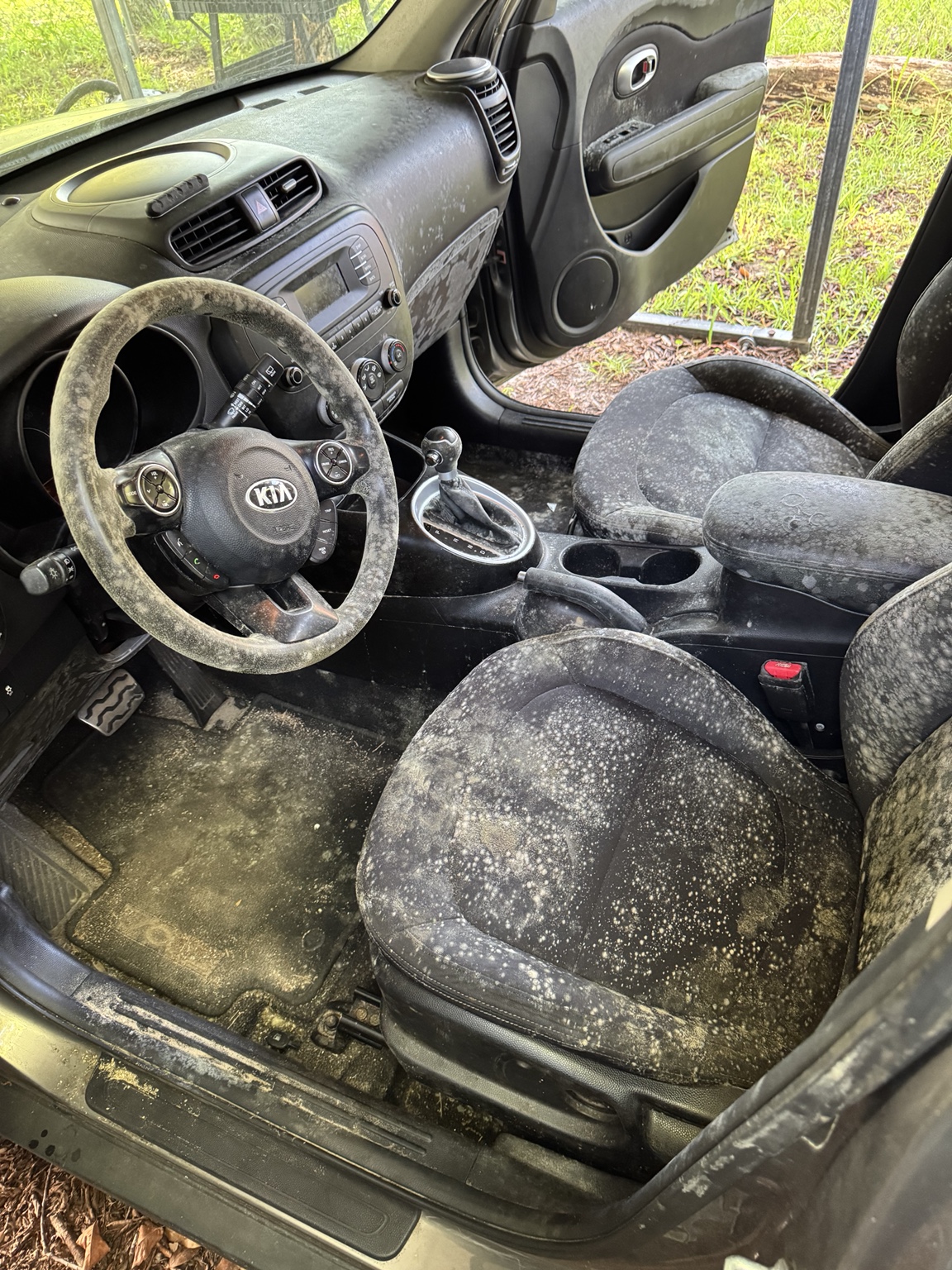 Detailing result